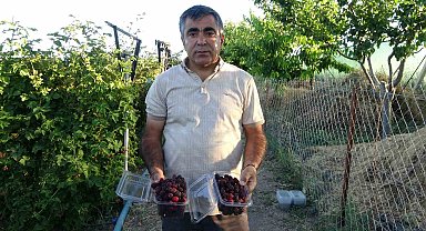 3 yıl önce evinin bahçesinde hobi olarak başladı, şimdi taleplere yetişemiyor
