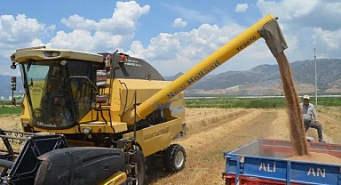 Iğdır'da Buğday Hasadı Başladı