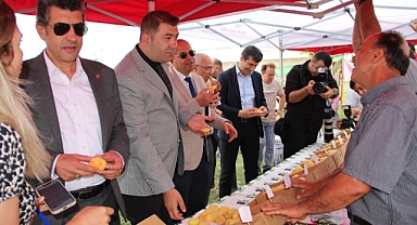 Iğdır'da Kayısı Yeme ve En Güzel Şalak Kayısısı Yarışması Düzenlendi