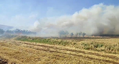 Mardin’de anız yangını: Söndürme çalışmaları sürüyor