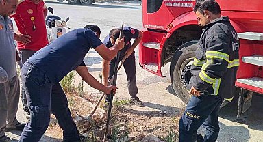 Rögara düşen köpeği itfaiye kurtardı