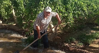 Sıcak havaya karşı üzüm bağlarına su takviyesi
