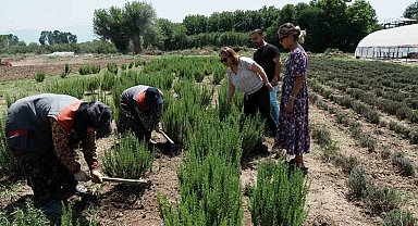 Düzce tarımda atılıma geçiyor