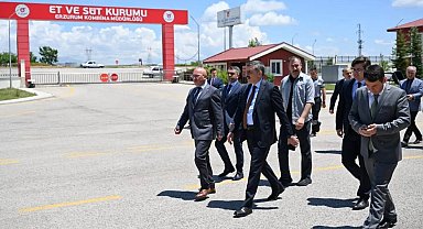 Erzurum ETB yıllık 2 bin ton kırmızı et üretiyor