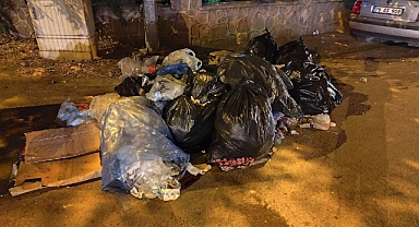 Iğdır'da Çöp Krizi: Vatandaşlar Mağdur