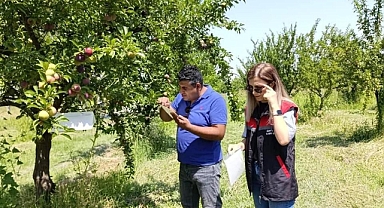 Meyve Ağaçlarında Gereksiz İlaçlamanın Önüne Geçiliyor
