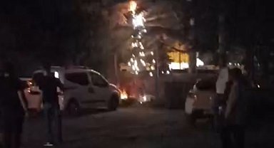 Ağacın dibindeki elektrik kablolarından çıkan kıvılcım korkuttu