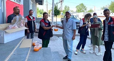 Akdeniz Meyve Sineği ile Mücadele Devam Ediyor