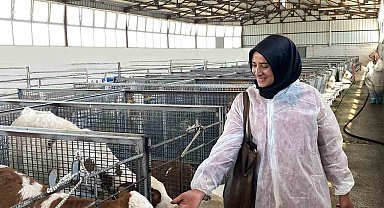 Ardahanlı süt üreticisi kadınlar Afyonkarahisar'ı ziyaret etti