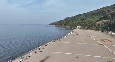 Bursa sahillerinden sevindiren haber