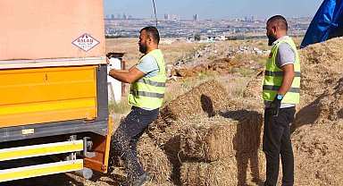 Gölbaşı Belediyesi'nden çiftçiye bin adet saman balyası