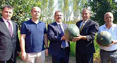 Iğdır´da Karpuz hasadı yapıldı
