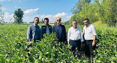 Karakoyunlu’da İlk Kez Soya Fasulyesi Ekimi Gerçekleşti