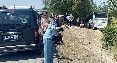 Yolcu Otobüsü Yoldan Çıktı