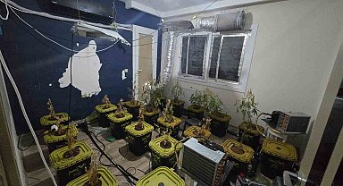 Apartmana uyuşturucu serası kurdular