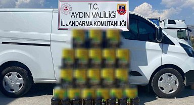 Aydın'da piyasa değeri 262 bin TL olan 750 litre sahte zeytinyağı yakalandı