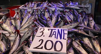 Balıkçı ağları palamut ile doldu, tezgahtaki fiyatı 75 TL'ye düştü