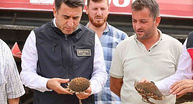 Bilecik'te bu yıl ayçiçeği rekoltesinde artış yaşandı