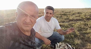 Gümüşki Yaylası'nda mantar bereketi