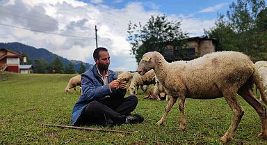 İki üniversite bitirip hayali kaymakamlık olan genç çobanlık yapmaya başladı
