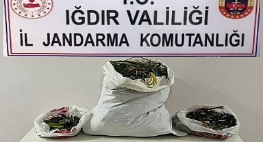 Jandarma’dan Uyuşturucu Operasyon