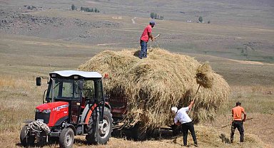 Kars'ta çiftçilerin sıcak havada ot toplama mesaisi