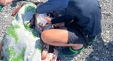 Mavi Bayraklı Halk Plajı'nda hipotermi geçiren kadın kurtarıldı