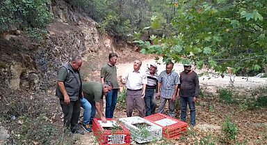Muğla'da keklikler doğaya salındı