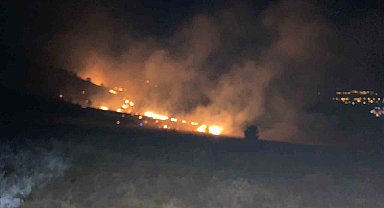Muş'ta 3 ayrı alanda çıkan orman yangınları söndürüldü
