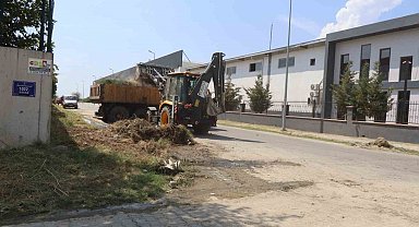 Nazilli Belediyesi temizlik çalışmalarını sürdürüyor