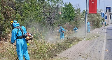 Park ve bahçelerde sonbahar temizliği