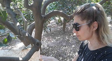 Söke'de zararlılara karşı tuzak kontrolleri yapıldı