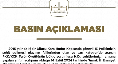 Dilucu Şehitlerinin Faili Şırnak’ta Yakalandı