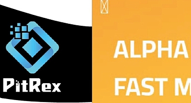 Pitrex Dolandırıcılığı Sonrası Yeni Dolandırıcılar Ortaya Çıktı