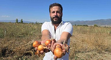 Tokatlı çiftçi 500 ton soğanı ücretsiz dağıttı