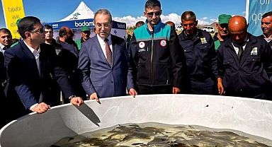 Türkiye’den Nahçıvan’a 250 Bin Sazan Balığı Hibe Edildi