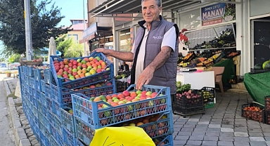 ÜRETİCİDEN MANAVA