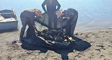 Van'da ağla kaçak balık avlayan kişiye 8 bin 918 liralık ceza