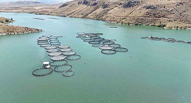 Erzincan'dan Elazığ'a balık sevkiyatı başladı