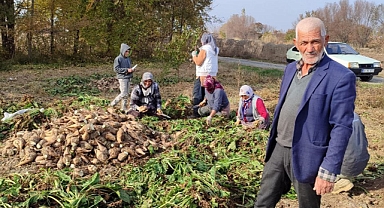 Iğdır’da “Şeker Pancarı Üreticisi Dertli”