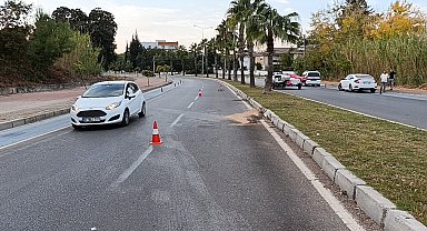Kontrolden çıkan otomobil palmiyeye çarptı:1 yaralı