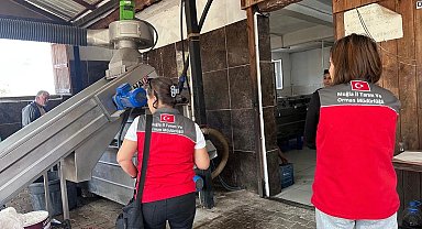 Muğla'da zeytinyağı denetimleri hız kesmeden devam ediyor