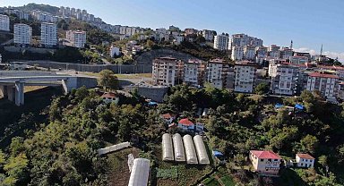 Şehir merkezinde apartmanlar arasında organik tarım yapıyorlar