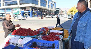 'Seyyar doktor' dağ bitkileriyle şifa dağıtıyor