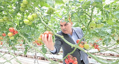 Vali Koç jeotermal sera alanında incelemelerde bulundu