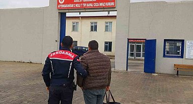 Ağaç kesme suçundan aranan şahıs yakalandı