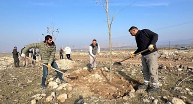 Iğdır’a Ağaç Sevgisini Aşılayan Müdür: Taner Tazegün