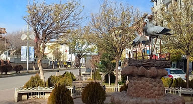 IĞDIR’DA GÜNEŞLİ HAVA