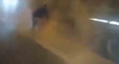 Lastiği tutuşan tırı hızlı müdahale ile kül olmaktan kurtardılar