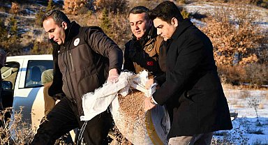 Olur'da yaban hayat unutulmadı